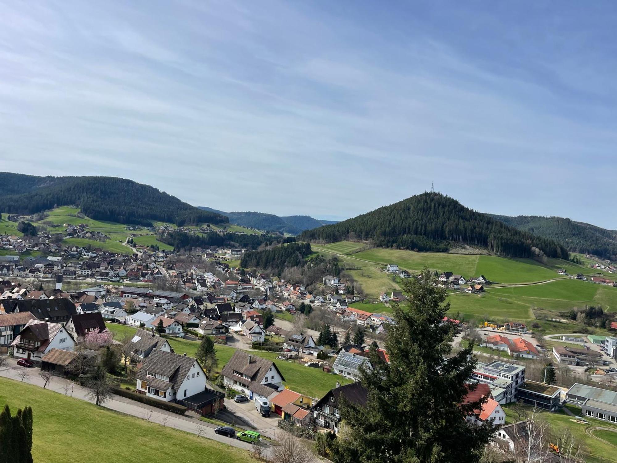 Studio Tonbachblick Appartement Baiersbronn Buitenkant foto